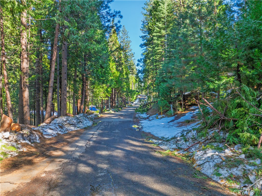 1803 Evergreen Property Photo 13
