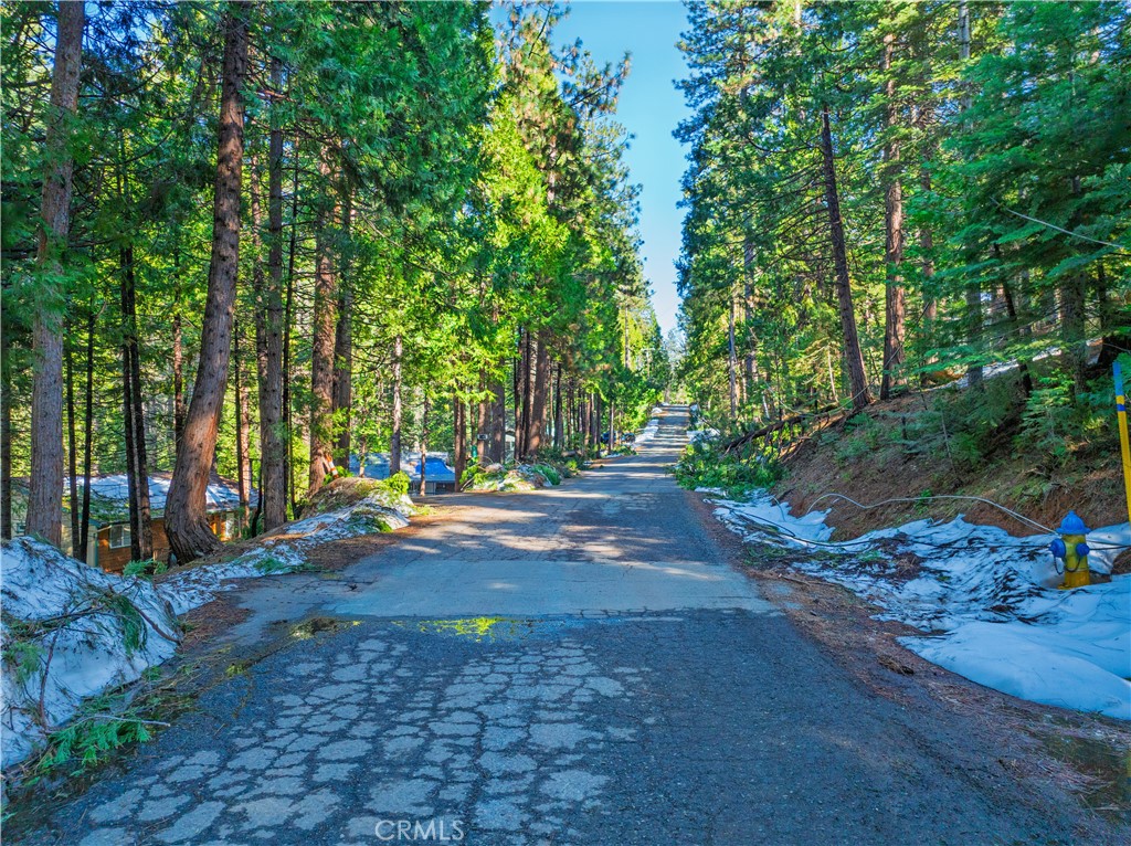 1803 Evergreen Property Photo 14