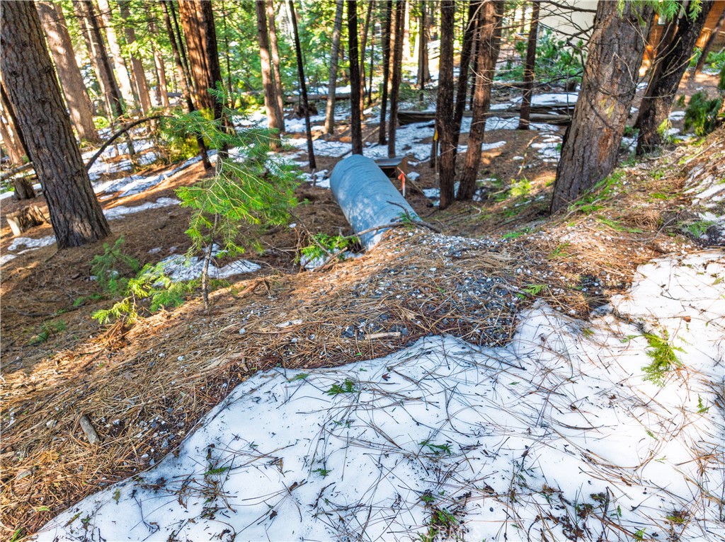 1803 Evergreen Property Photo 17