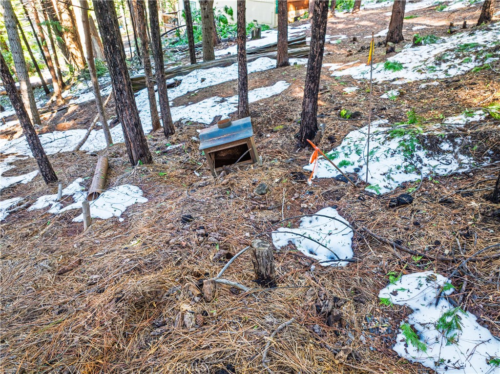 1803 Evergreen Property Photo 18