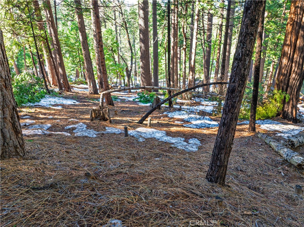 1803 Evergreen Property Photo 19