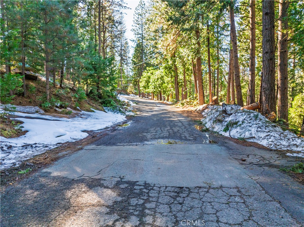 1803 Evergreen Property Photo 20