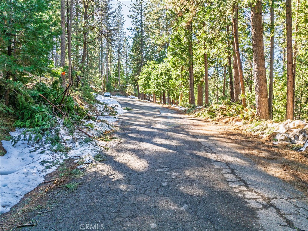 1803 Evergreen Property Photo 21