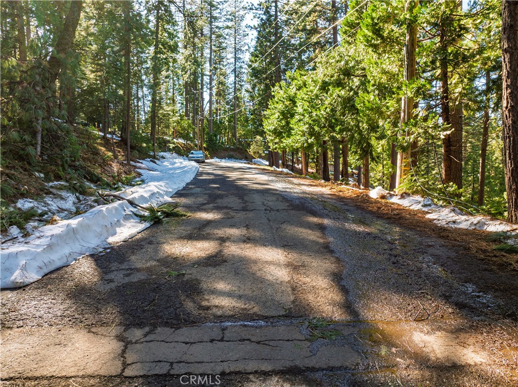 1803 Evergreen Property Photo 22