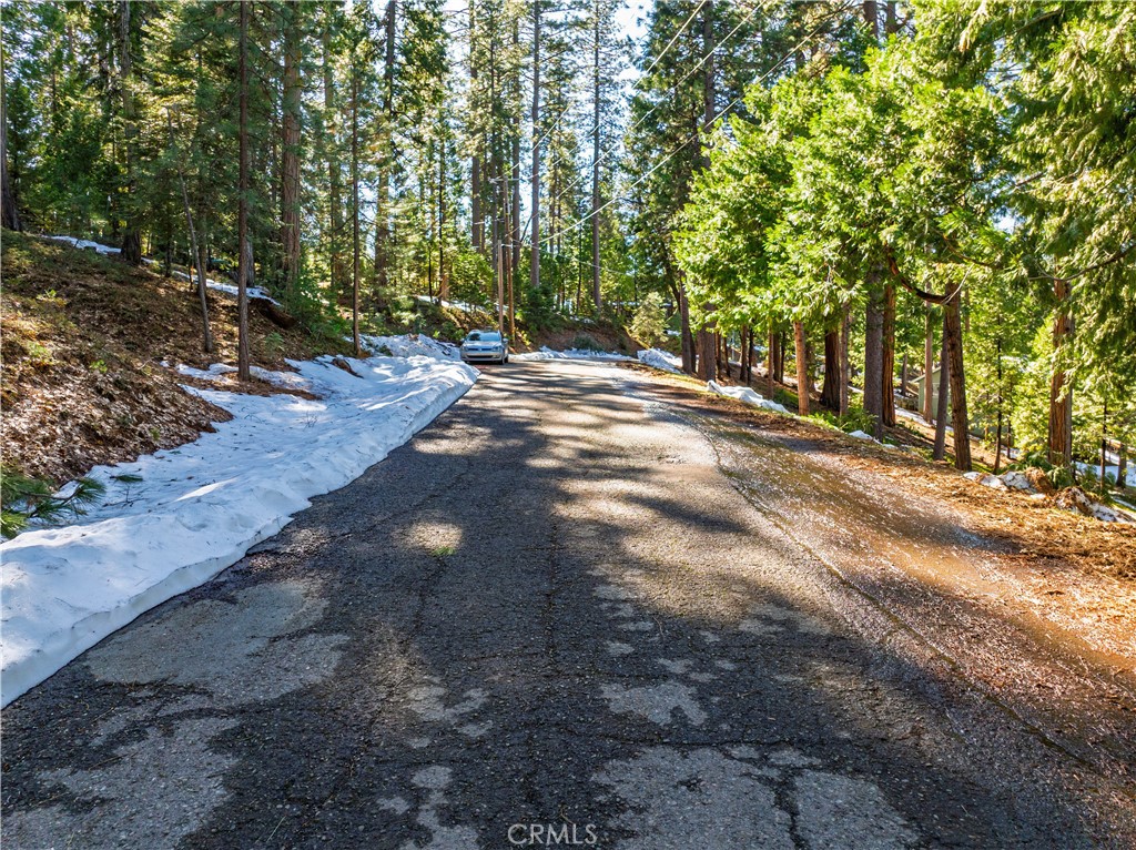 1803 Evergreen Property Photo 23
