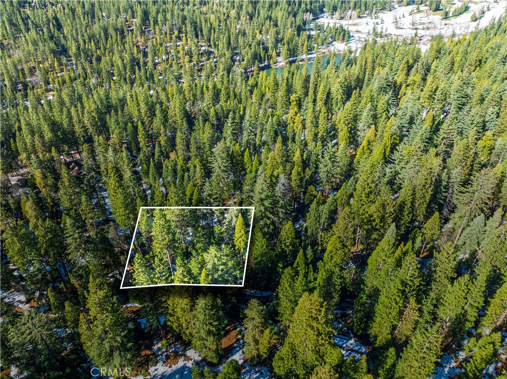 1803 Evergreen Property Photo 24
