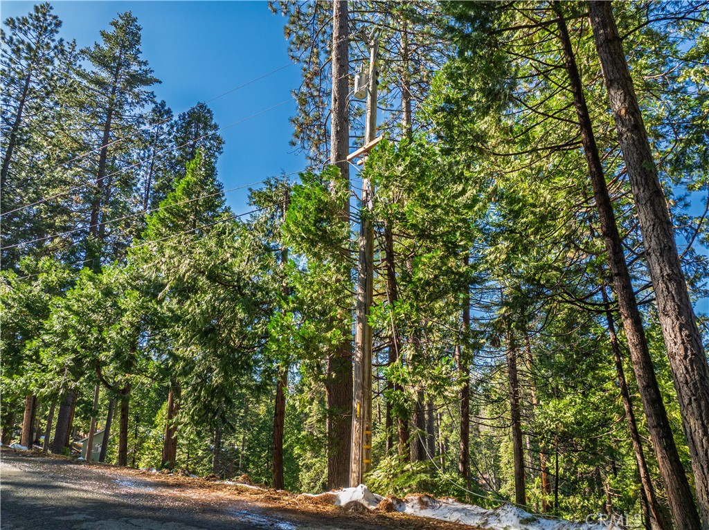 1803 Evergreen Property Photo 25