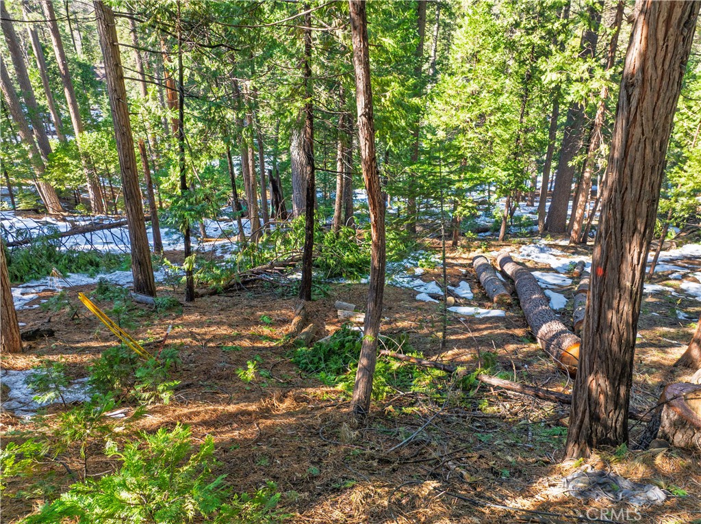 1803 Evergreen Property Photo 26