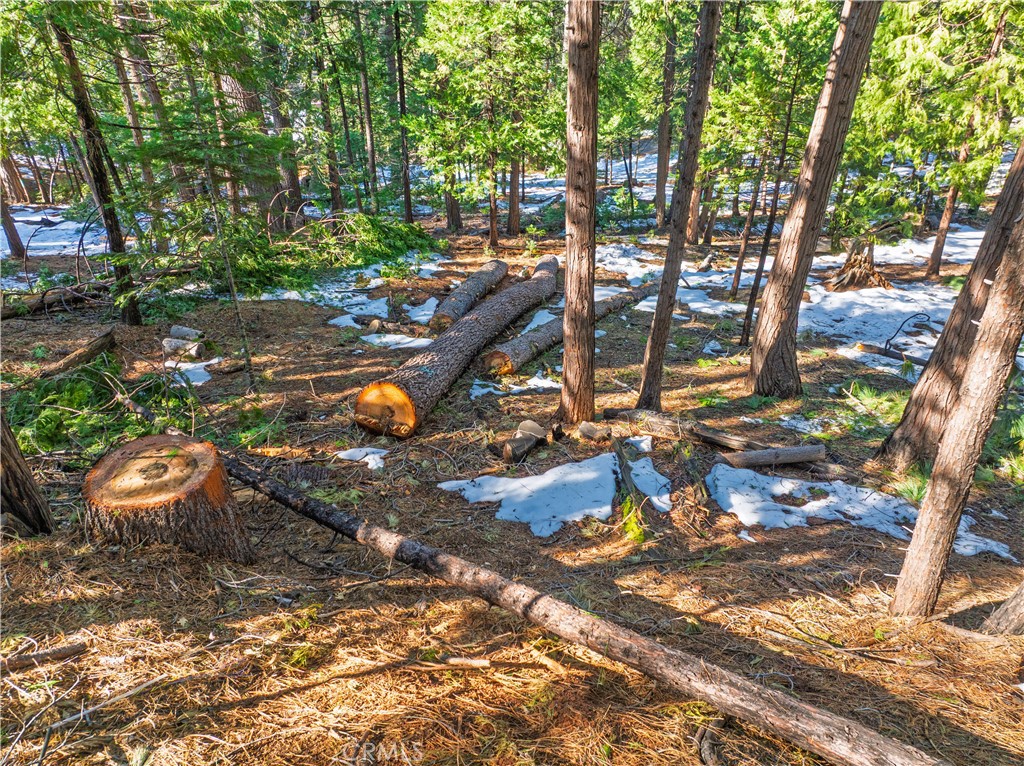 1803 Evergreen Property Photo 27