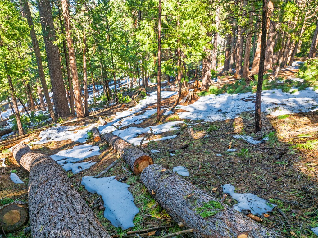 1803 Evergreen Property Photo 28