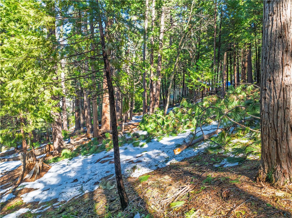 1803 Evergreen Property Photo 29