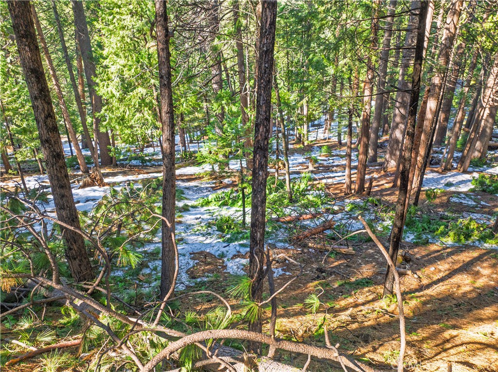 1803 Evergreen Property Photo 30