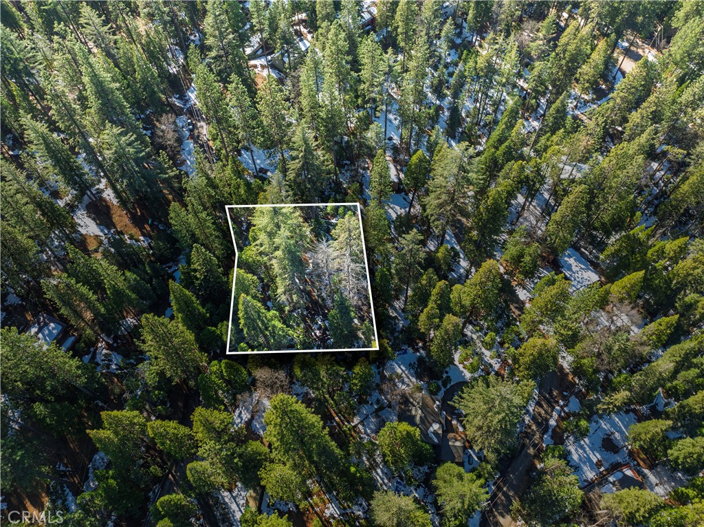 1803 Evergreen Property Photo 31