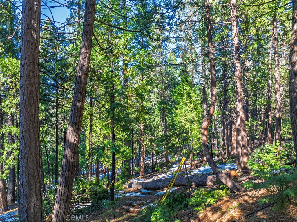 1803 Evergreen Property Photo 32