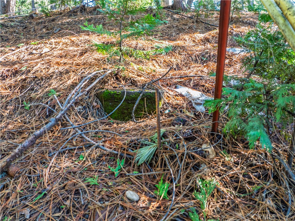 1803 Evergreen Property Photo 33