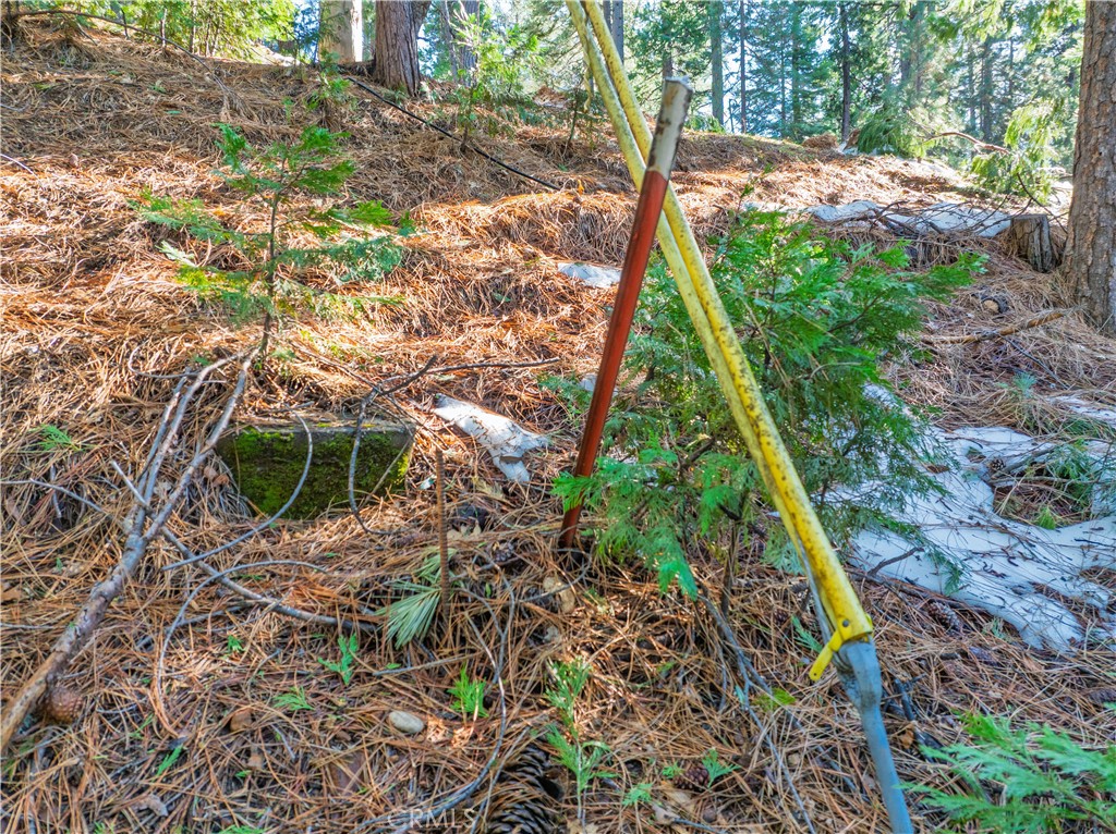1803 Evergreen Property Photo 34