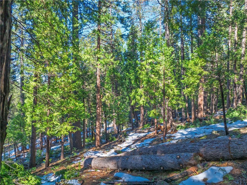 1803 Evergreen Property Photo 35