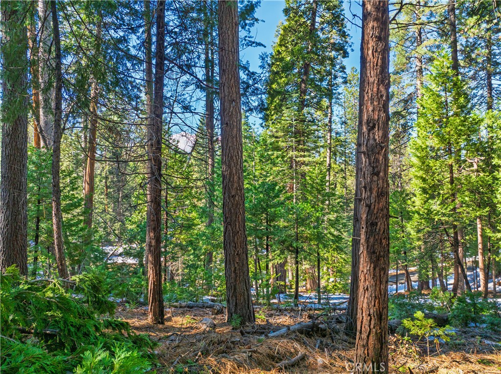 1803 Evergreen Property Photo 36