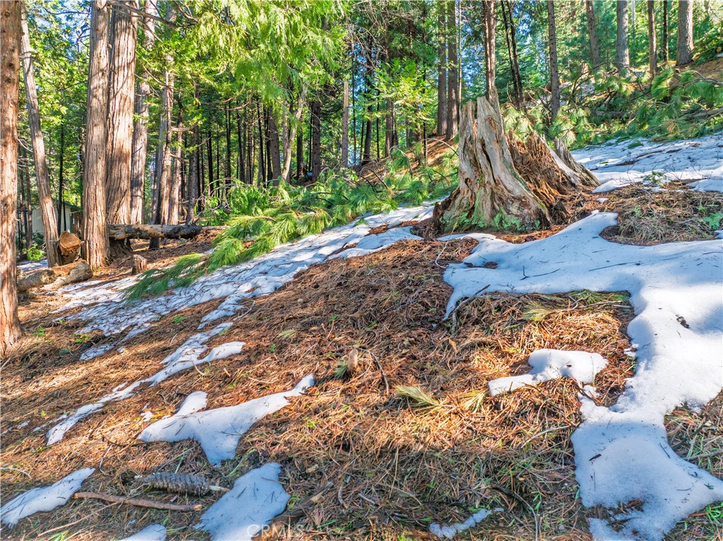 1803 Evergreen Property Photo 38