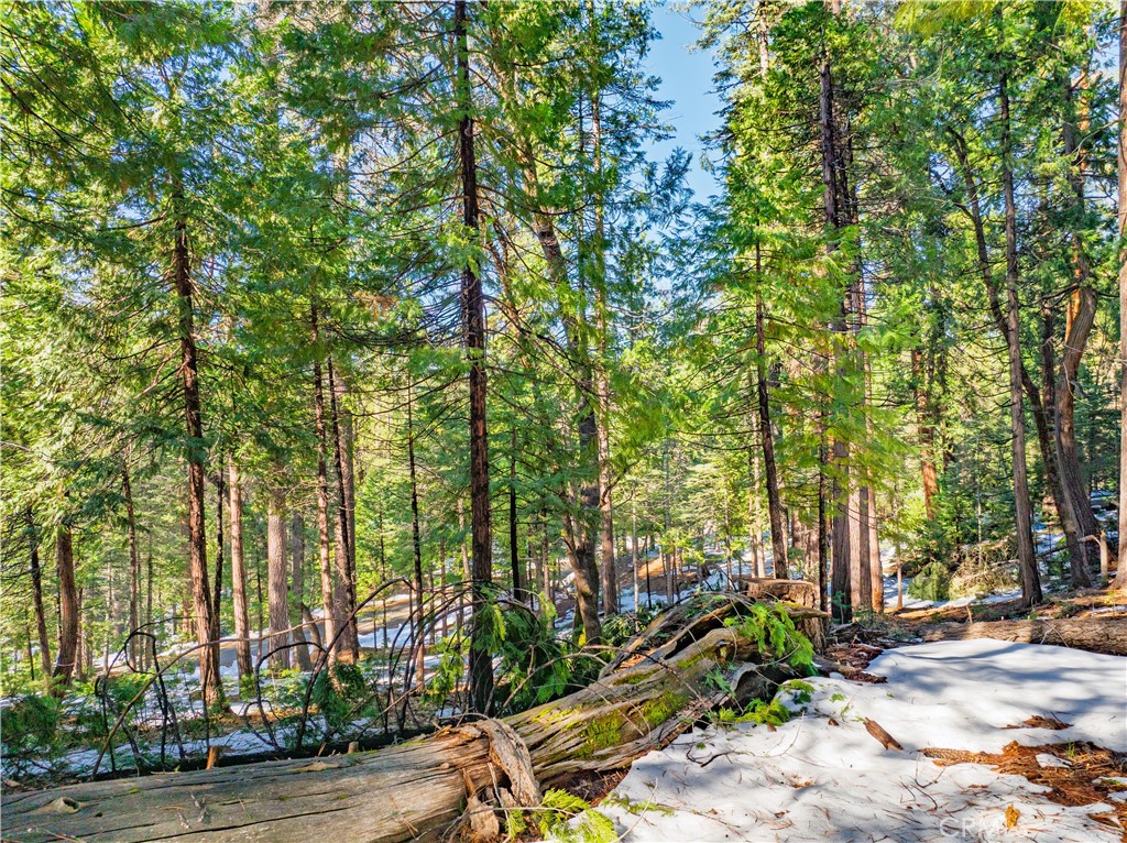 1803 Evergreen Property Photo 40