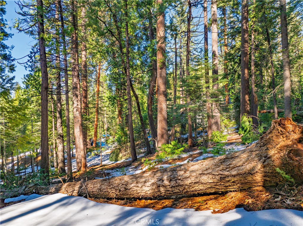 1803 Evergreen Property Photo 41