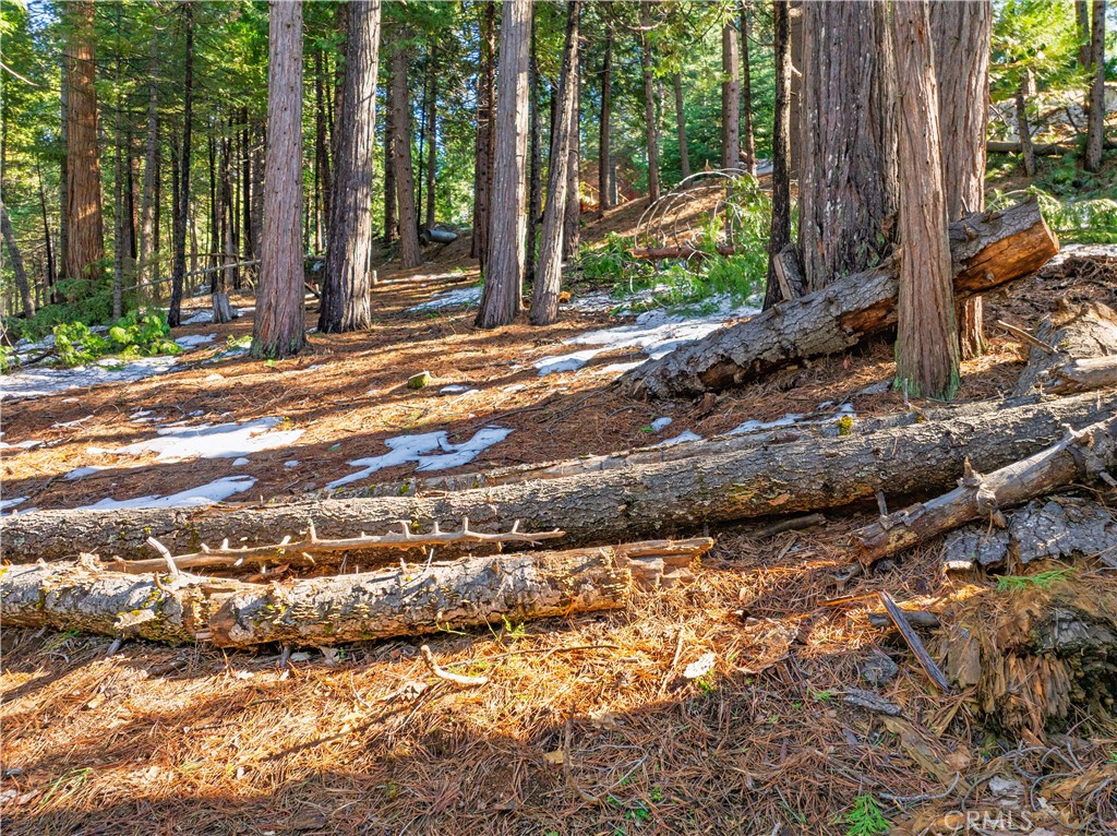 1803 Evergreen Property Photo 42