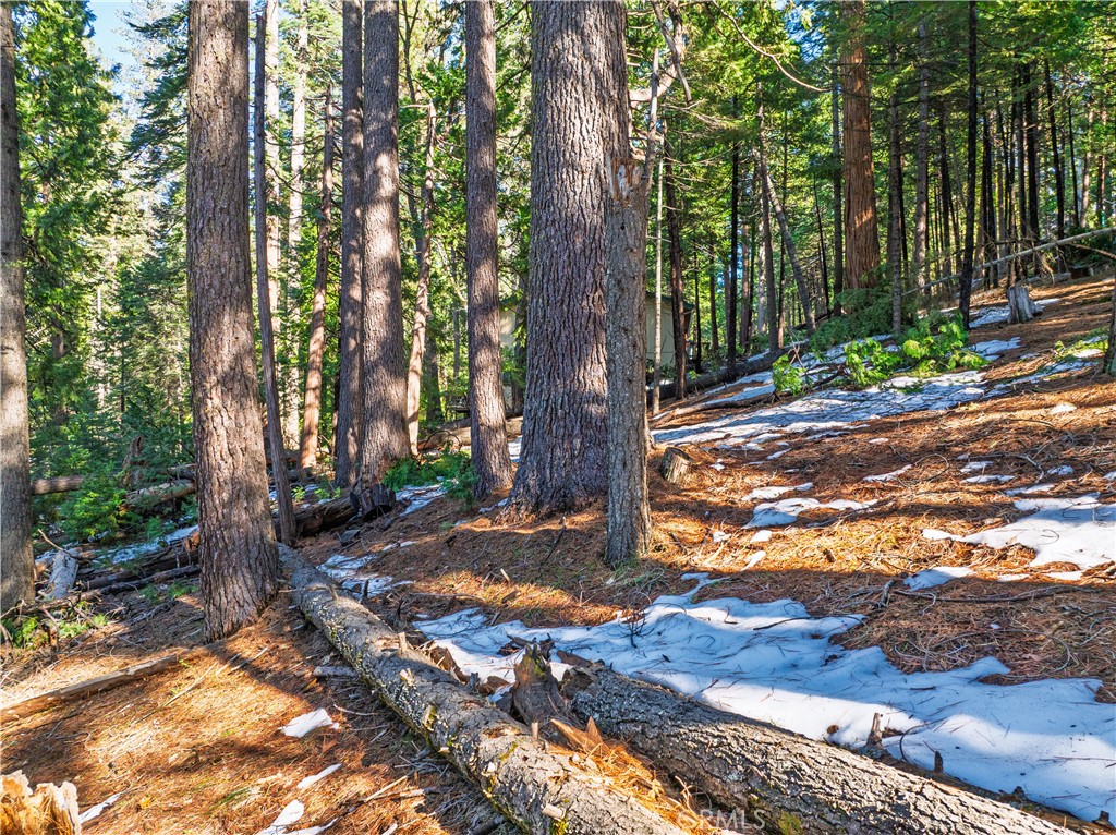 1803 Evergreen Property Photo 43
