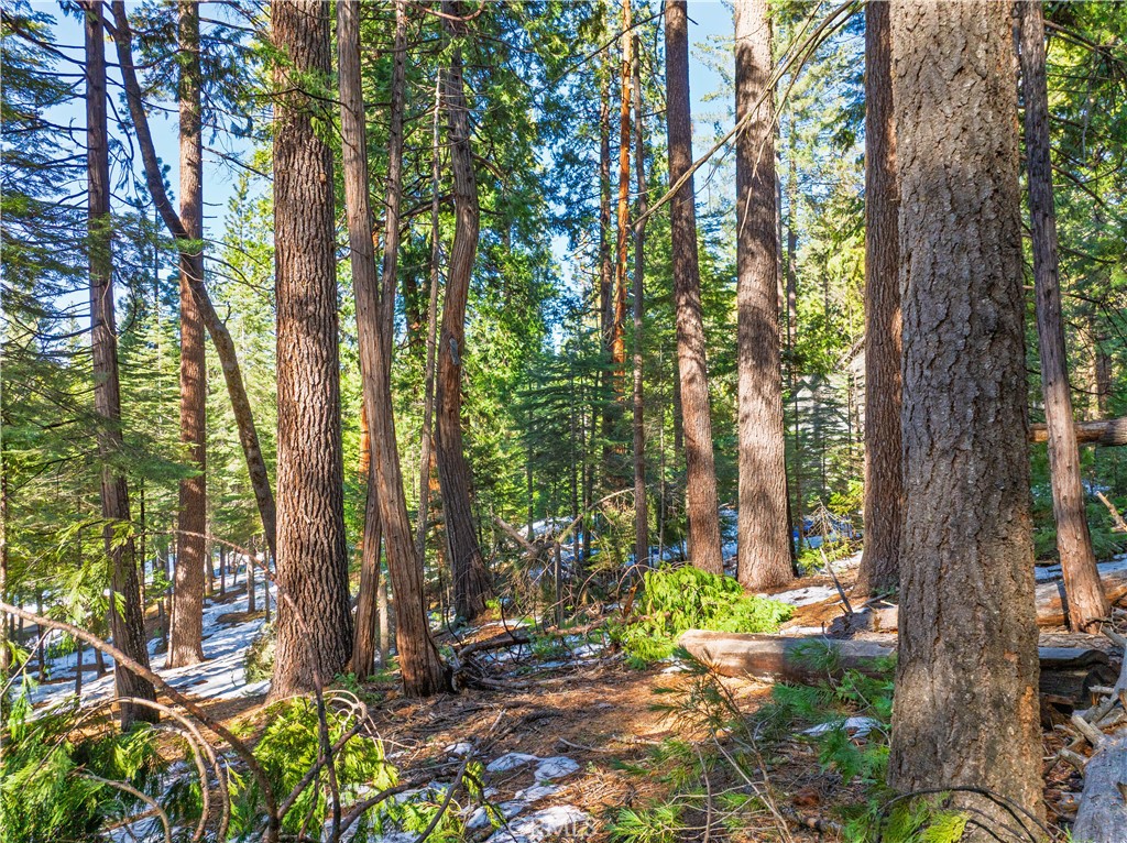 1803 Evergreen Property Photo 44