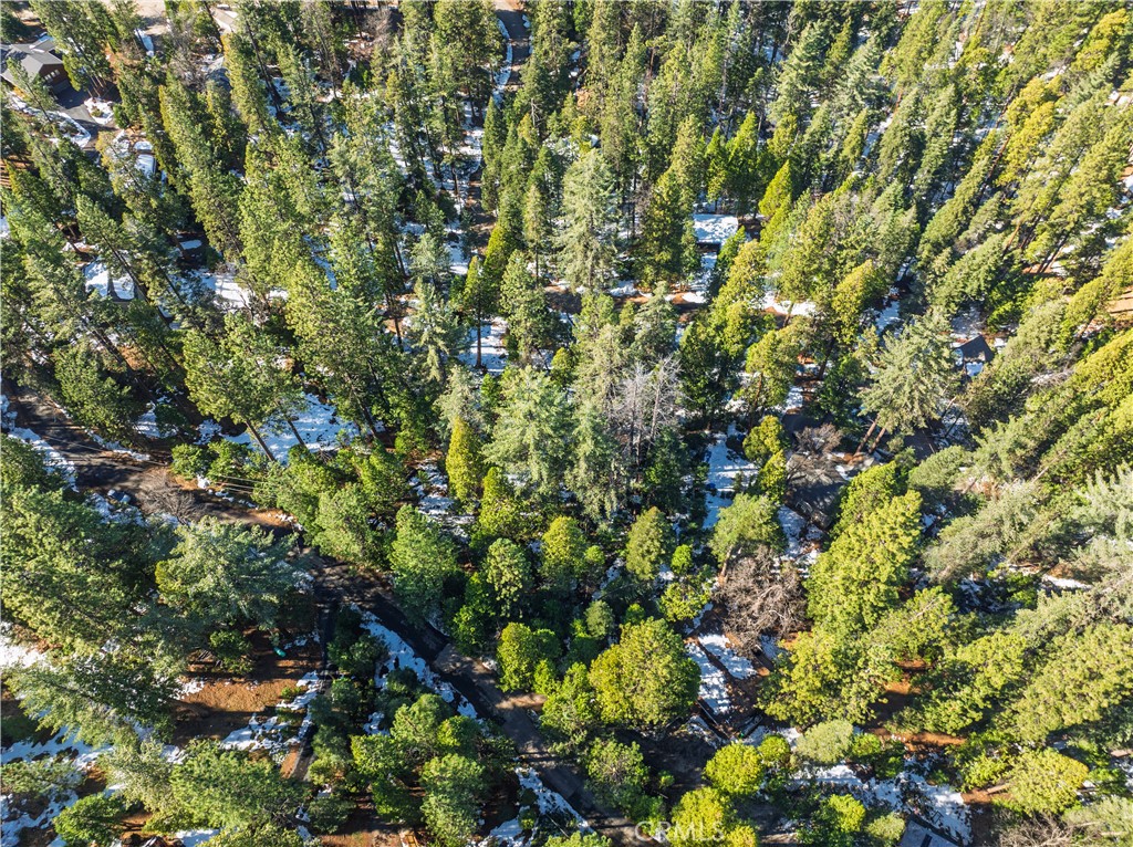 1803 Evergreen Property Photo 45