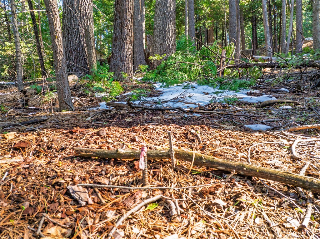 1803 Evergreen Property Photo 46
