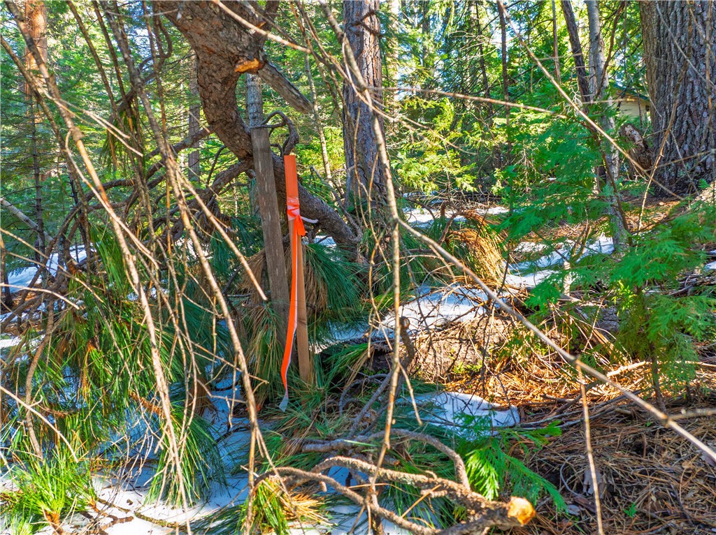 1803 Evergreen Property Photo 47