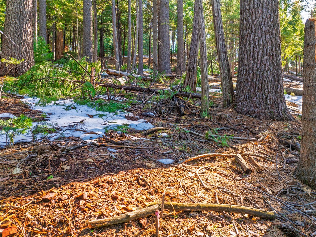 1803 Evergreen Property Photo 48