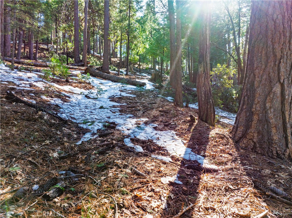 1803 Evergreen Property Photo 49
