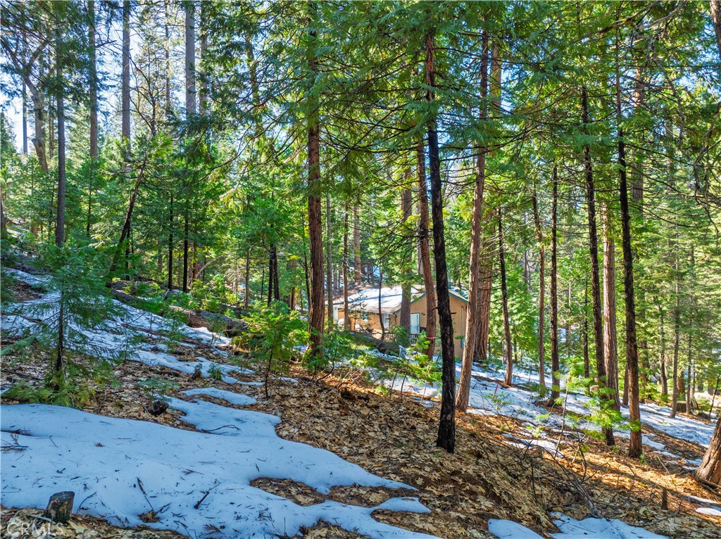 1803 Evergreen Property Photo 51