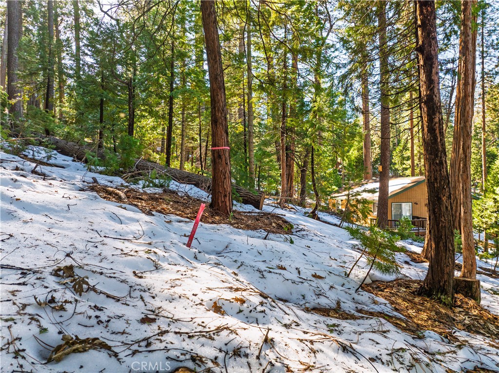 1803 Evergreen Property Photo 52