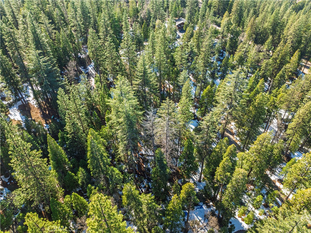 1803 Evergreen Property Photo 55