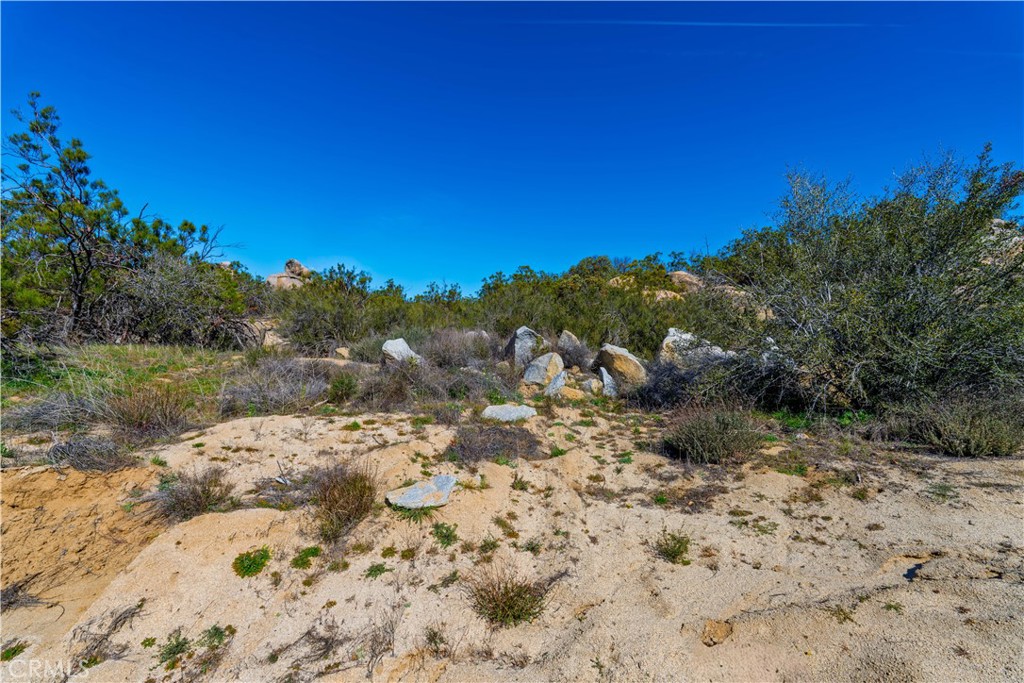 1 Goldrush Road Property Photo 13
