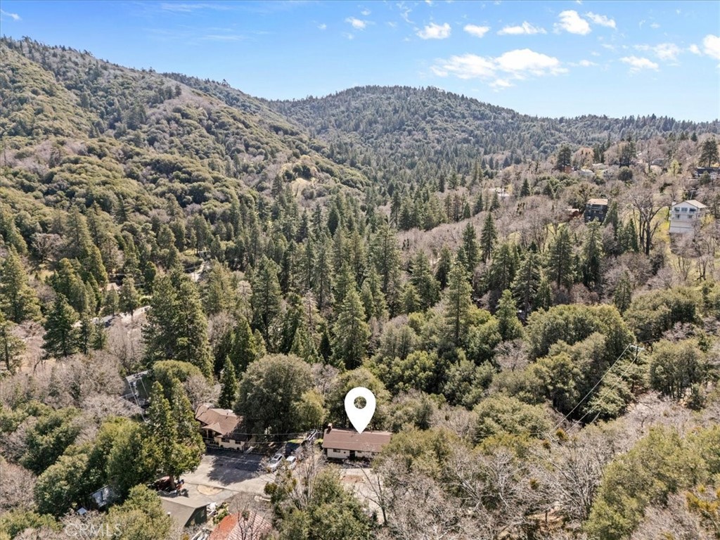 24873 Edelweiss Property Photo 32