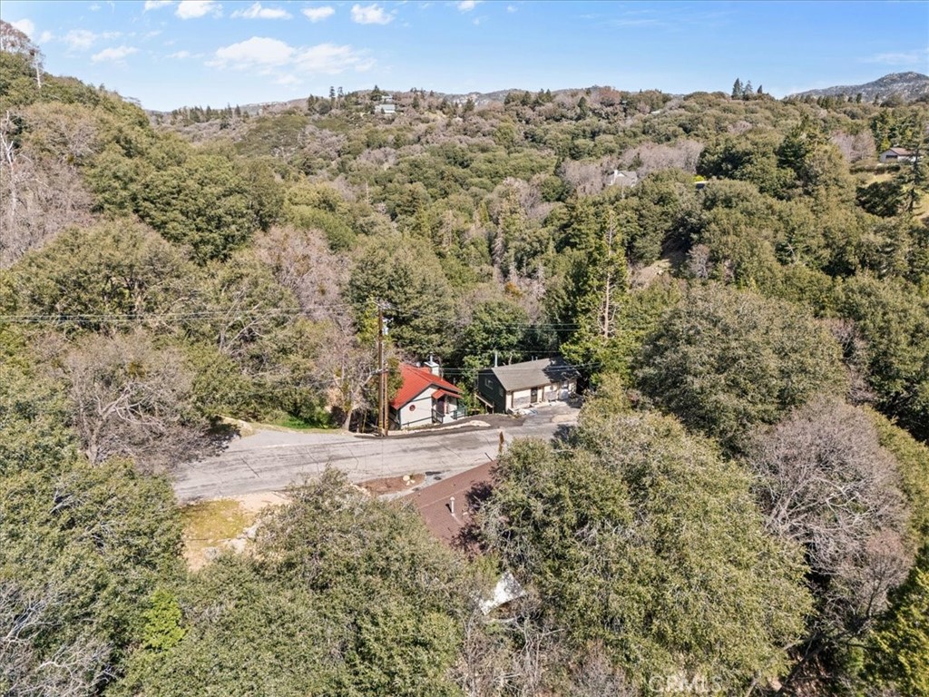 24873 Edelweiss Property Photo 33