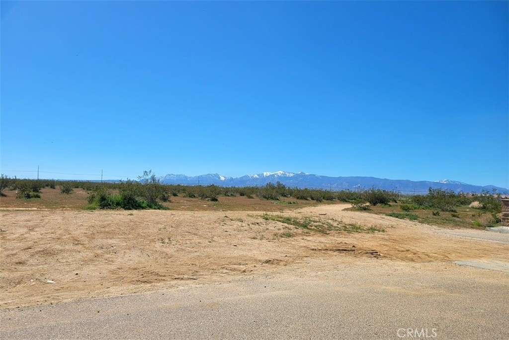 5 Palmdale Property Photo 21