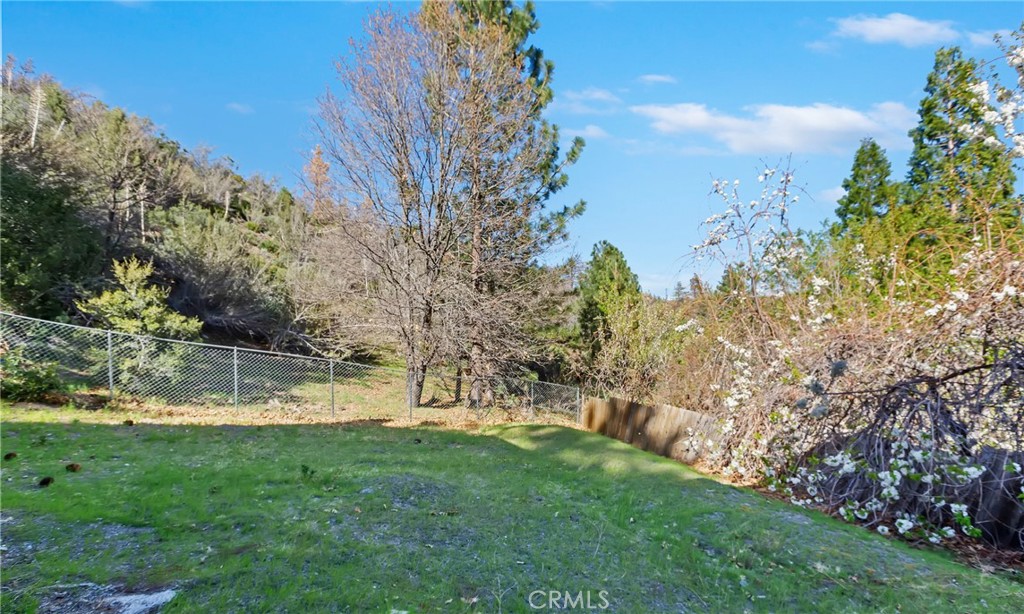 26633 Timberline Drive Property Photo 41