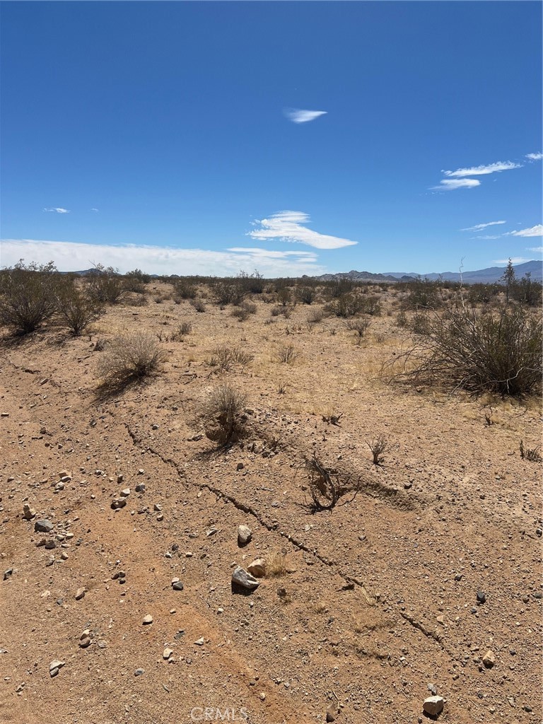 0 Dale Evans Parkway Property Photo 2
