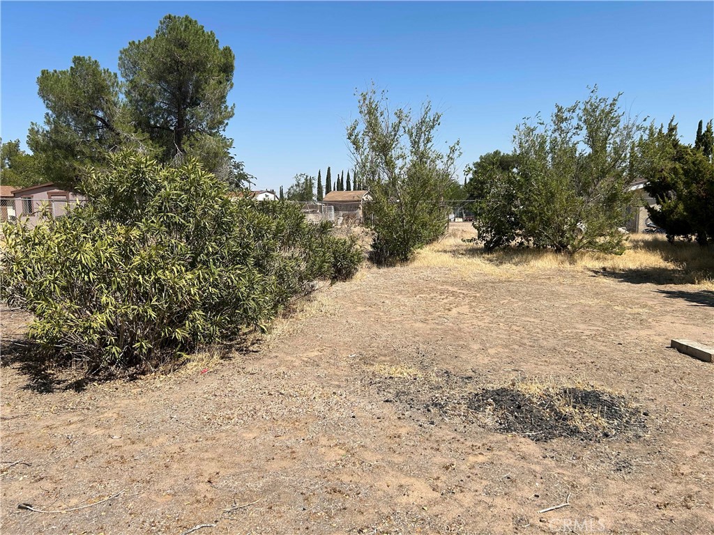 9922 Victor Avenue Property Photo 9