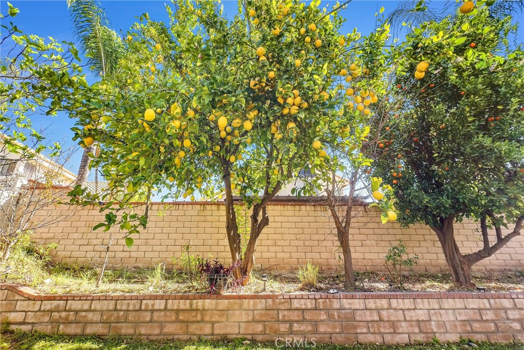 7437 Red Clover Way Property Photo 26