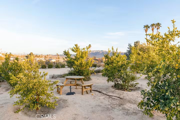73467 Desert Trail Property Photo 32