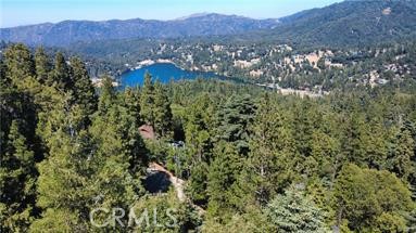 24355 Albrun Property Photo 2