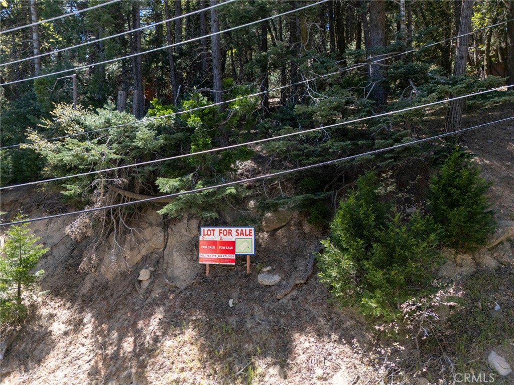 24355 Albrun Property Photo 4