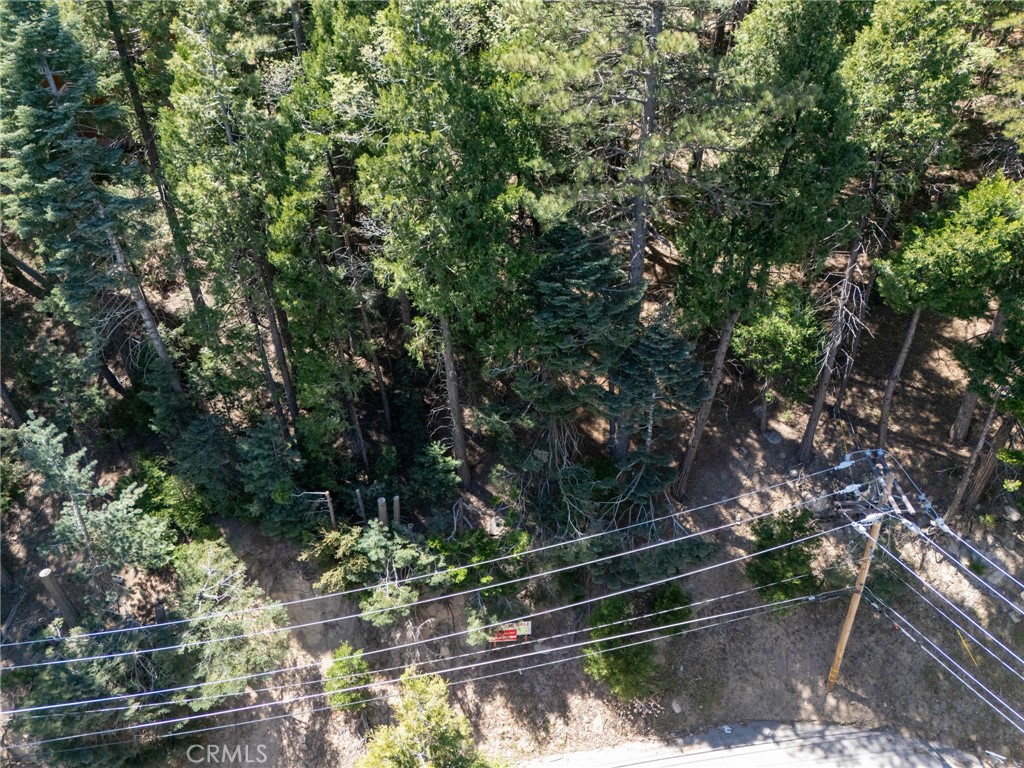 24355 Albrun Property Photo 6