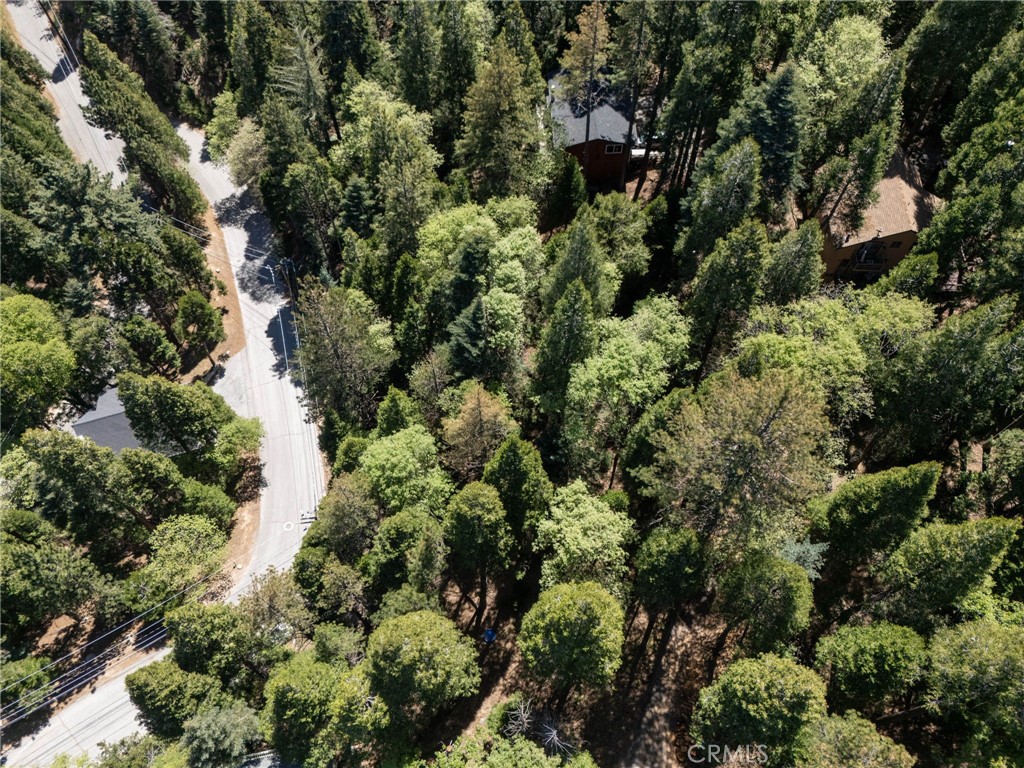 24355 Albrun Property Photo 9
