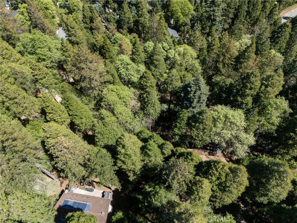 24355 Albrun Property Photo 10